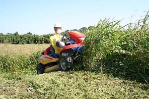 ロータリーモア（乗用型作業写真）